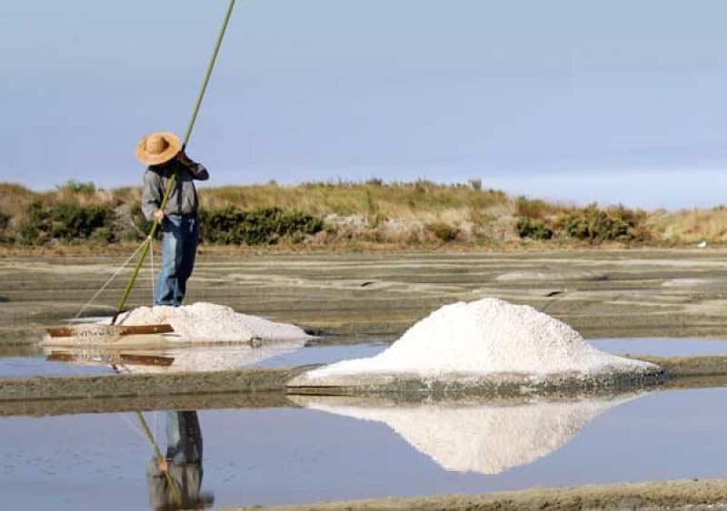 paludier terre de sel